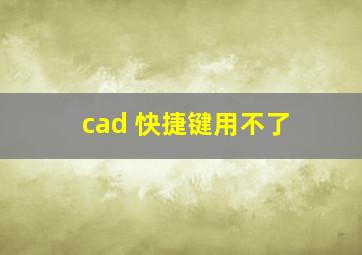 cad 快捷键用不了